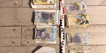 Cu mascații la ușă. Angajați silvici din vestul țării, suspectați și de tăieri ilegale de arbori