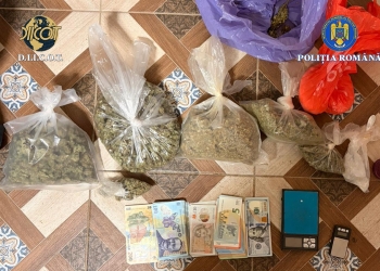 Percheziții DIICOT Timiș: Dealerii din cazul Cenei, prinși