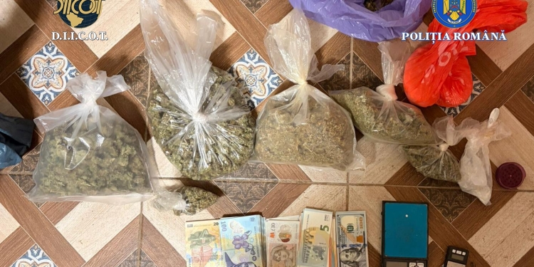 Percheziții DIICOT Timiș: Dealerii din cazul Cenei, prinși