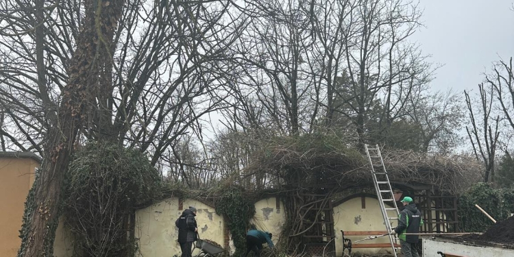 Amenajare peisagistică specială la Casa Căsătoriilor din Timișoara