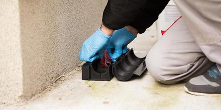 O nouă acțiune de deratizare în Timișoara