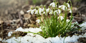 Ploi și ninsori în următoarele două săptămâni, în Banat