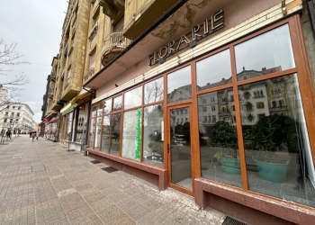 Asociația „Seeds of Kenosis” își retrage cererea pentru închirierea spațiului central din Timișoara