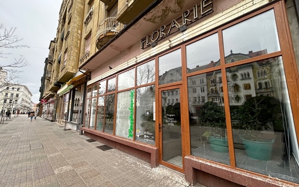 Asociația „Seeds of Kenosis” își retrage cererea pentru închirierea spațiului central din Timișoara