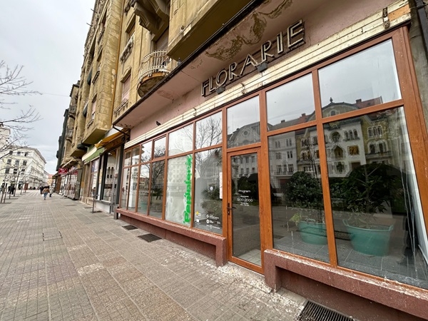 Asociația „Seeds of Kenosis” își retrage cererea pentru închirierea spațiului central din Timișoara