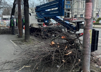 Resturile vegetale, resursă pentru spațiile verzi din Timișoara