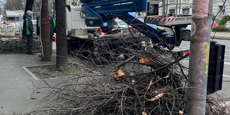 Resturile vegetale, resursă pentru spațiile verzi din Timișoara