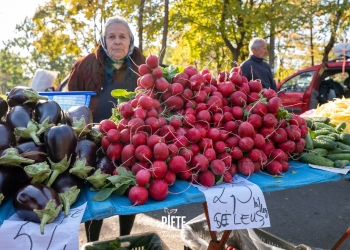 Piețele din Timișoara, locul unde diversitatea întâlnește sănătatea FOTO