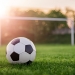 Scene dramatice la Cenad, după ce o poartă de fotbal a căzut peste un băiat de 13 ani