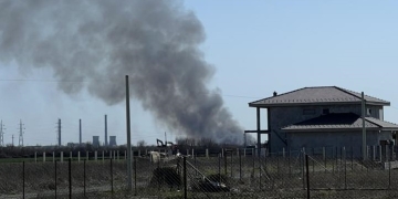 Incendiu lângă o baltă din zona Freidorf din Timișoara