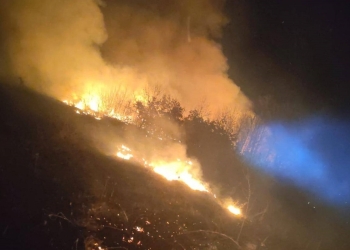 Garda de Mediu Timiș: Arderile de vegetație nu vor mai fi tolerate