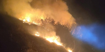 Garda de Mediu Timiș: Arderile de vegetație nu vor mai fi tolerate