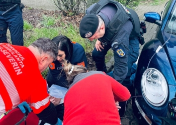 Un bărbat care s-a prăbușit pe stradă, salvat de un jandarm, la Timișoara