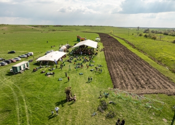 CODRU organizează o nouă acțiune de împădurire! 10.000 de copaci vor fi plantați la Ianova