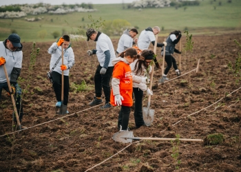 CODRU a plantat 10.000 de copaci la Ianova alături de peste 1.500 de participanți FOTO