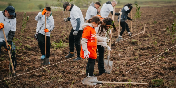 CODRU a plantat 10.000 de copaci la Ianova alături de peste 1.500 de participanți FOTO