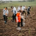 CODRU a plantat 10.000 de copaci la Ianova alături de peste 1.500 de participanți FOTO