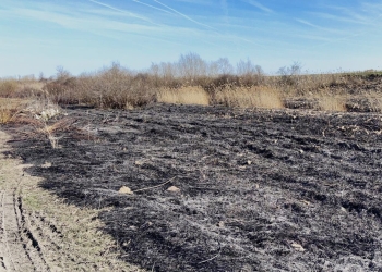 Cinci incendii izbucnite la vegetație uscată și deșeuri în Timiș, în ultimele zile