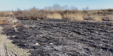 Cinci incendii izbucnite la vegetație uscată și deșeuri din Timiș, în ultimele zile