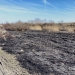 Cinci incendii izbucnite la vegetație uscată și deșeuri în Timiș, în ultimele zile