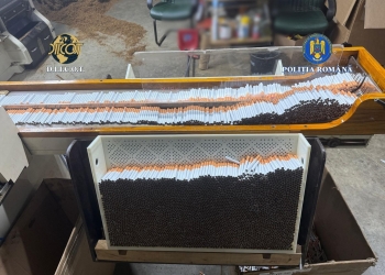 Fabrică ilegală de țigarete, descoperită la periferia Timișoarei