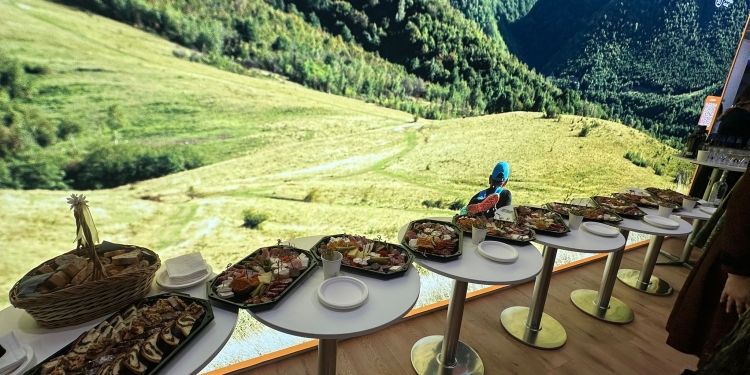 Județul Timiș, promovat la cel mai mare târg de turism din lume, la Berlin FOTO