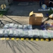 Traficantă de droguri din Timișoara, prinsă în flagrant! Aproape zece kilograme de canabis, ascunse printre dulciuri