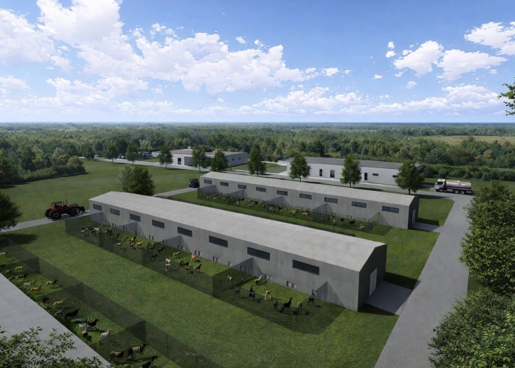 Premieră în Timiș. Primul adăpost județean pentru animale, construit la Grabaț