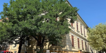 Primăria Timișoara pregătește deschiderea unui nou spațiu pentru educație în Iosefin