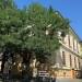 Primăria Timișoara pregătește deschiderea unui nou spațiu pentru educație în Iosefin