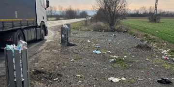 Parcările nu sunt rampe de gunoi! Plin de deșeuri pe marginea unor drumuri din Timiș