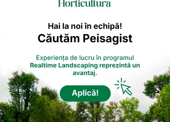 Horticultura Timișoara face angajări: Se caută de la specialiști în design peisager și finanțe, până la personal logistic