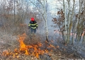 Incendiile de vegetație uscată iau amploare. Peste 100 de hectare au ars în Timiș