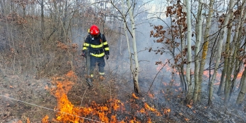 Incendiile de vegetație uscată iau amploare. Peste 100 de hectare au ars în Timiș