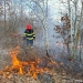 Incendiile de vegetație uscată iau amploare. Peste 100 de hectare au ars în Timiș