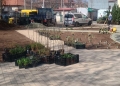 Nou spațiu verde și de relaxare în fața Spitalului de Copii „Louis Țurcanu” din Timișoara
