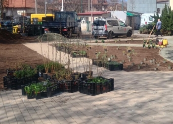 Nou spațiu verde și de relaxare în fața Spitalului de Copii „Louis Țurcanu” din Timișoara
