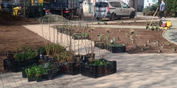 Nou spațiu verde și de relaxare în fața Spitalului de Copii „Louis Țurcanu” din Timișoara