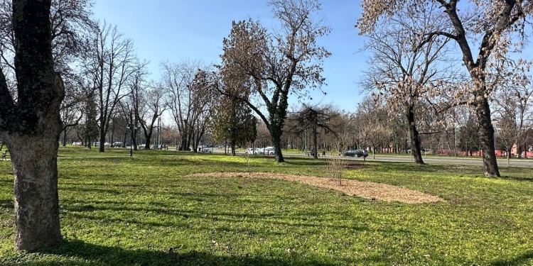 Parcul Cetate din Timișoara, pregătit de primăvară