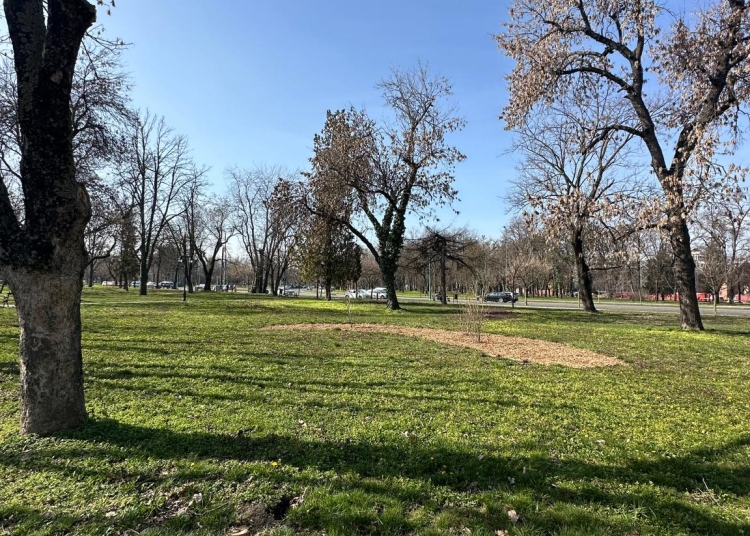 Parcul Cetate din Timișoara, pregătit de primăvară