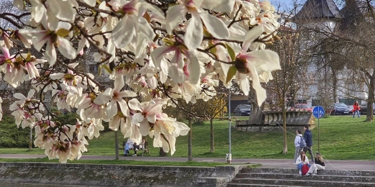 Ploi la sfârșit de săptămână, în Banat! Prognoza meteo până la început de aprilie