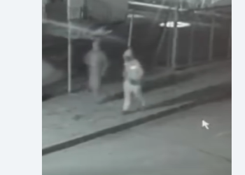 Bătrână din Timiș jefuită în propria casă! Unul dintre tâlhari, după gratii