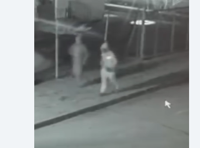 Bătrână din Timiș jefuită în propria casă! Unul dintre tâlhari, după gratii