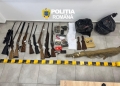 Zeci de percheziții în vestul țării! Au fost descoperite arme ilegale, muniție și peste 200 de trofee FOTO
