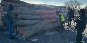 Garda Forestieră Timișoara, zeci de amenzi și lemn confiscat în luna februarie