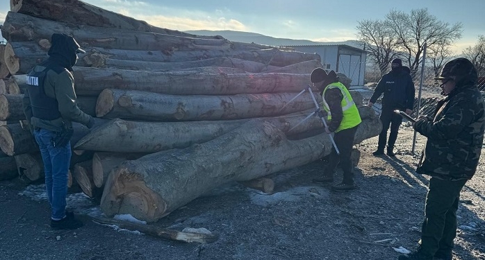 Garda Forestieră Timișoara, zeci de amenzi și lemn confiscat în luna februarie