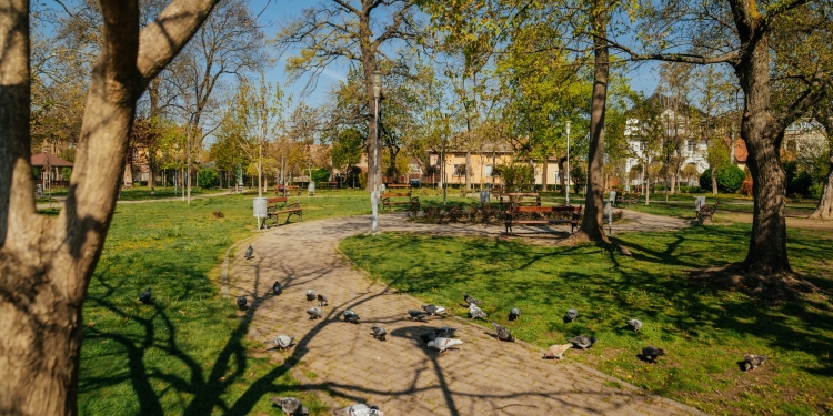 Lucrările de amenajare a terenului recuperat în Parcul Zürich din Timișoara, finalizate FOTO