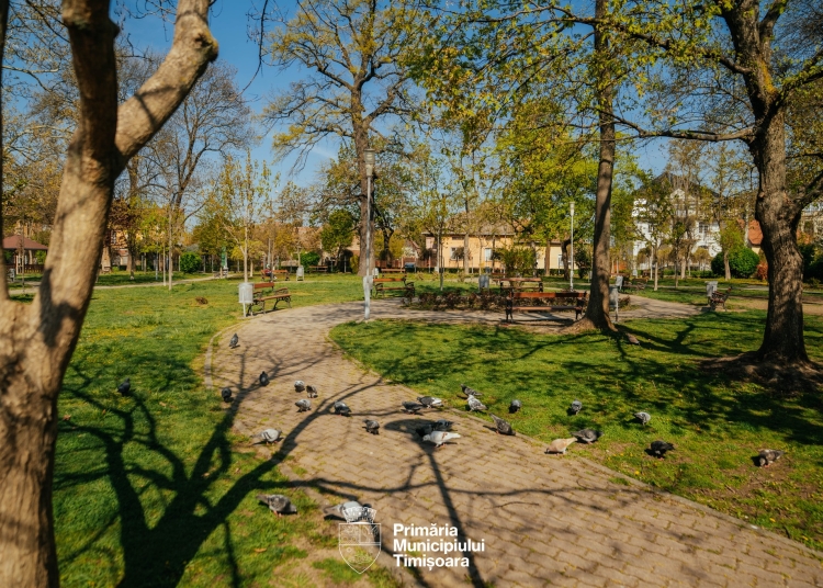 Lucrările de amenajare a terenului recuperat în Parcul Zürich din Timișoara, finalizate FOTO