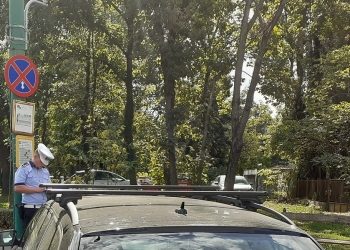 Parcurile din Timișoara, în vizorul polițiștilor locali! Au fost aplicate zeci de amenzi