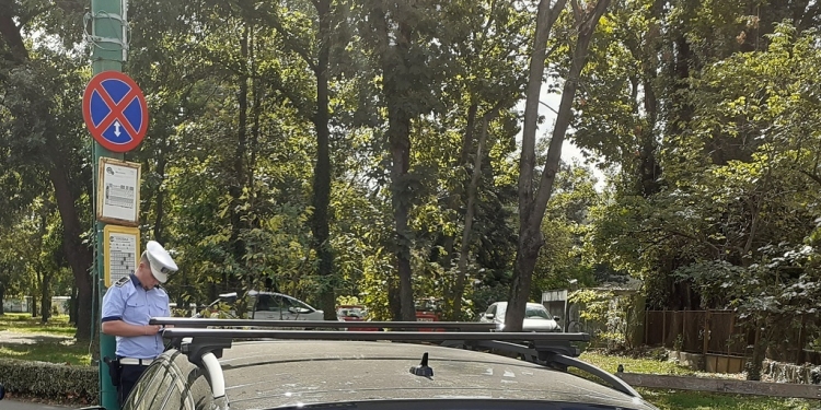 Parcurile din Timișoara, în vizorul polițiștilor locali! Au fost aplicate zeci de amenzi